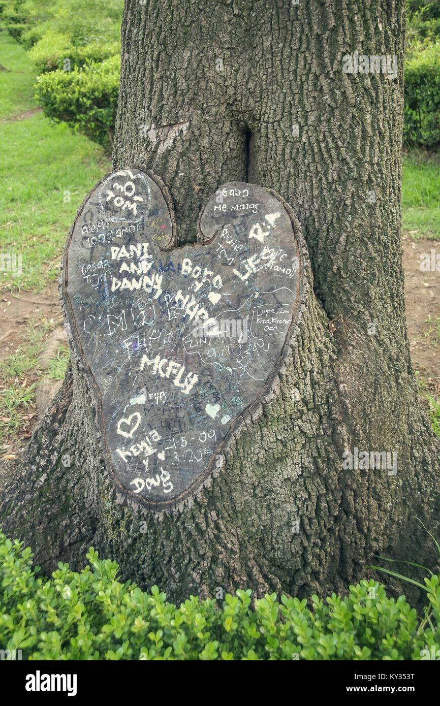 Albero tagliato a forma di cuore con frasi d'amore. Foto Stock