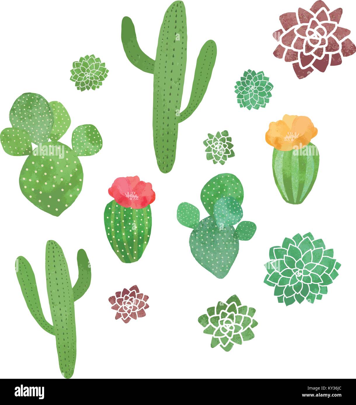 Cacti/succulente carino acquerello perfetta configurazione vettore Illustrazione Vettoriale