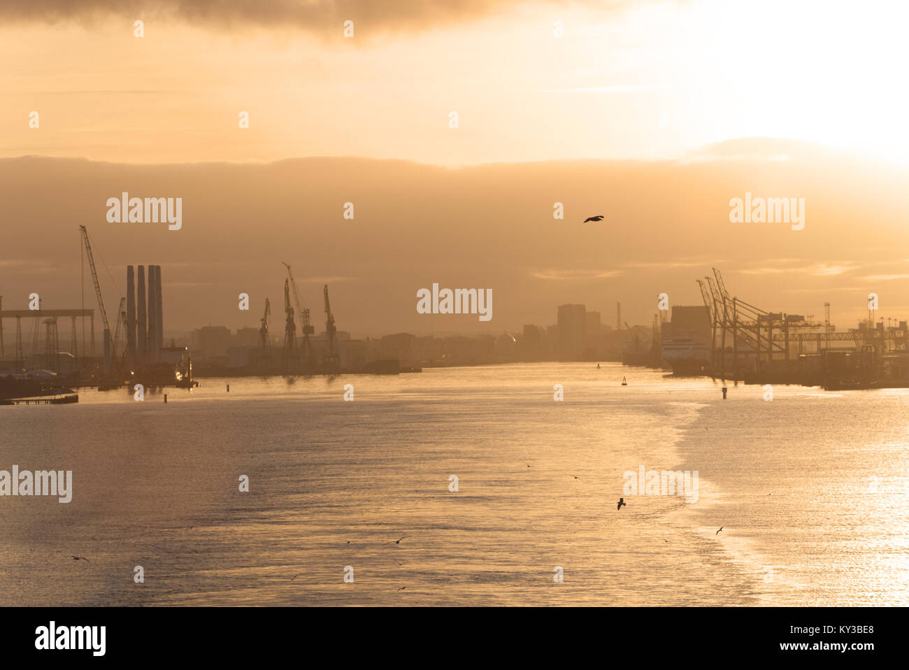 Belfast heabour al tramonto Foto Stock