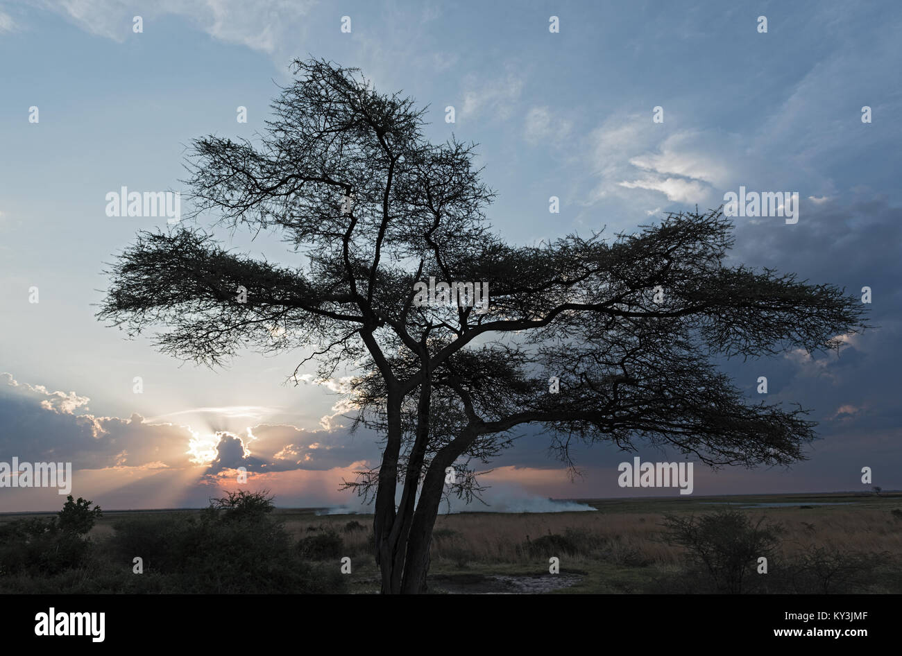 Steppa fire al tramonto sul fiume Chobe in Botswana Foto Stock