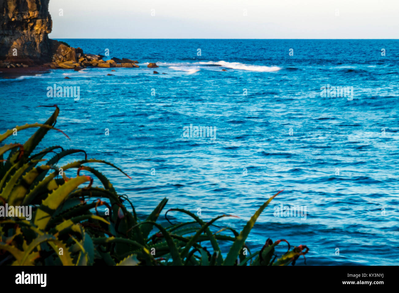 Il paesaggio con le onde del mare e le rocce. Vista panoramica del Mare di Tasman a Mona Vale beach, a nord di Sydney, Australia. Foto Stock
