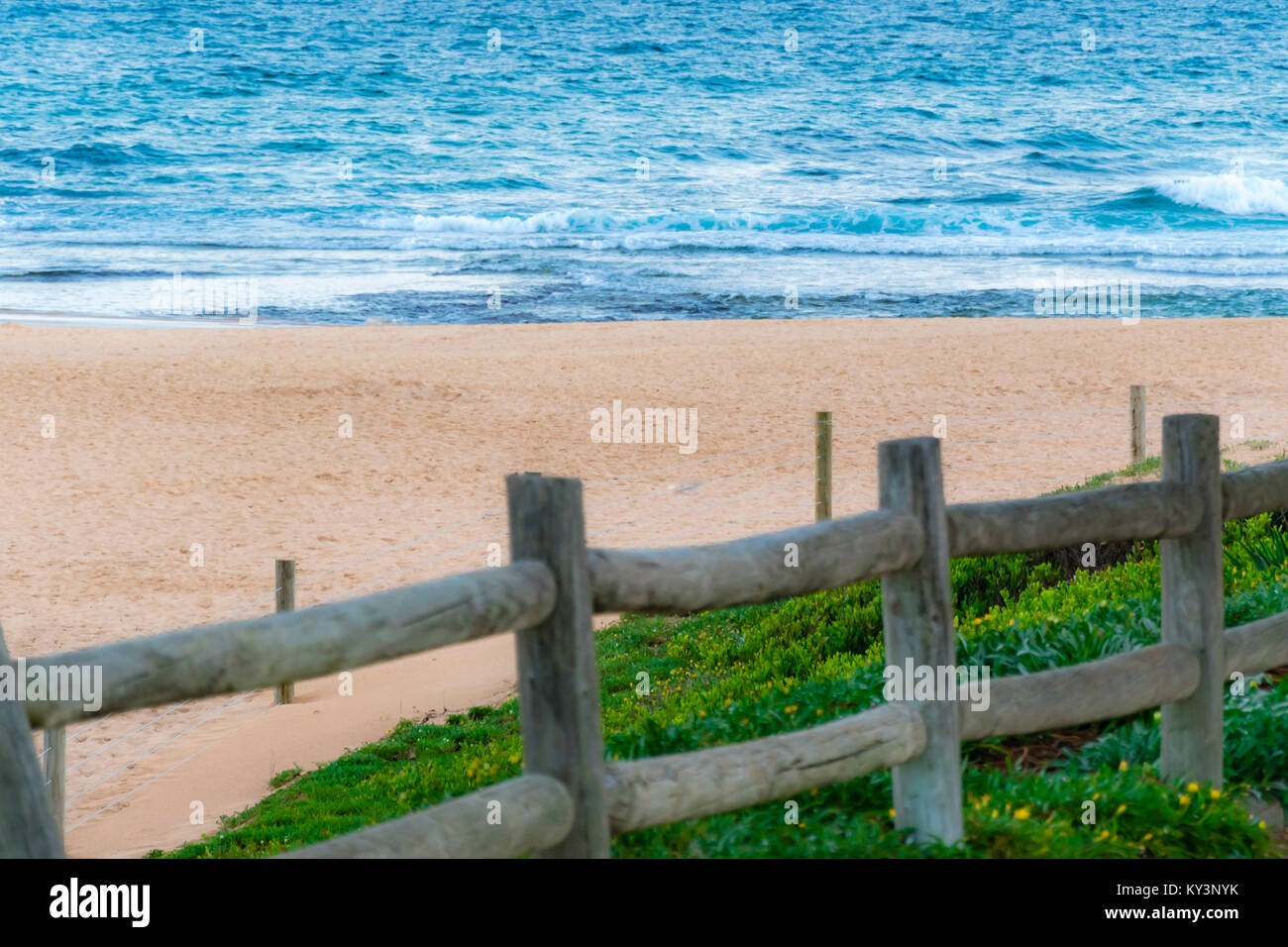 Vista panoramica di abbandono di spiaggia sabbiosa e le onde del mare, recinzione in legno in primo piano. Svuotare Mona Vale beach, a nord di Sydney, Australia. Foto Stock