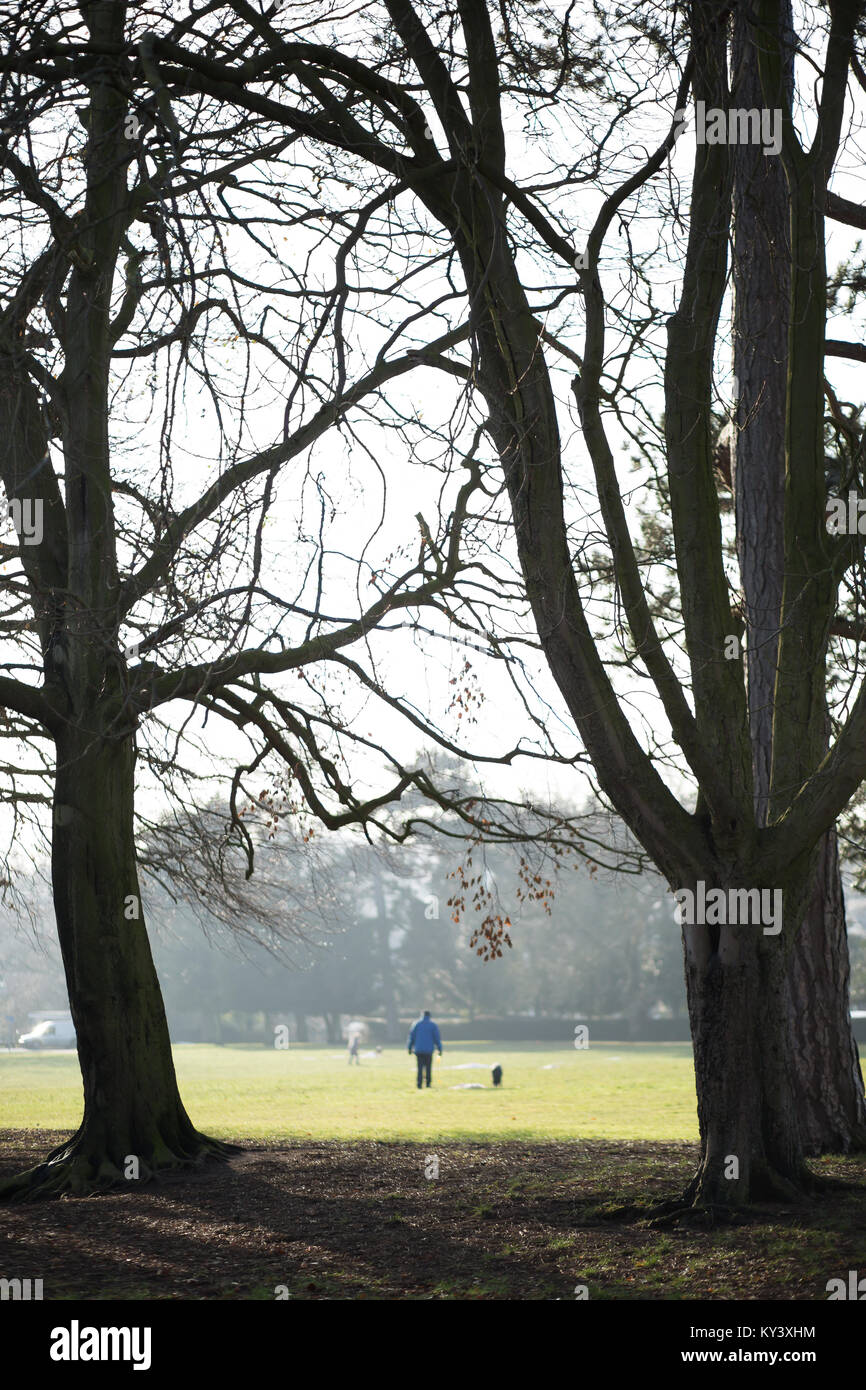 Ritratto la cattura di un uomo e il suo cane a piedi, la distanza, in Brinton Park, Kidderminster in una fredda e nebbiosa mattina di dicembre. Foto Stock