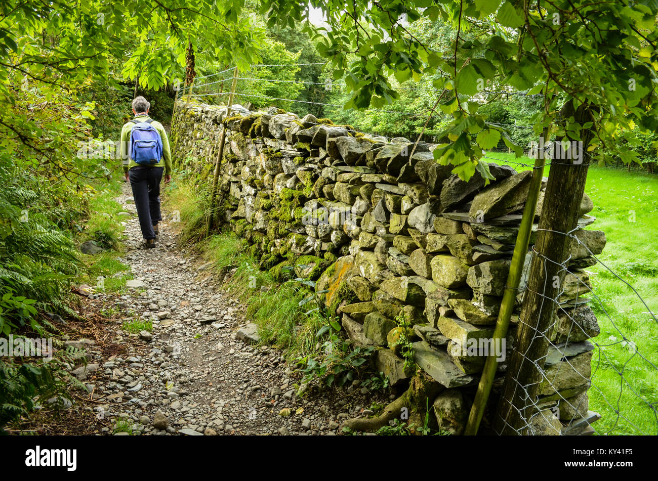 Escursionista, vicino a Borrowdale, Cumbria, Inghilterra, in Inghilterra del Coast to Coast path. Foto Stock