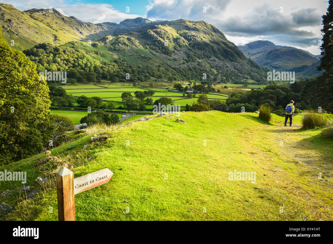 L'Inghilterra del Coast to Coast Path, Coast to Coast segno, escursionista discendente nel Seatoller, Borrowdale, Cumbria, Inghilterra Foto Stock