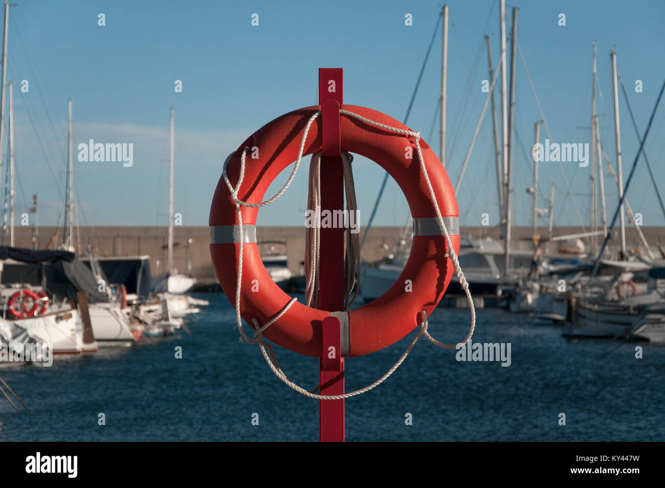 La vita la boa nel porto di Torredembarra Foto Stock