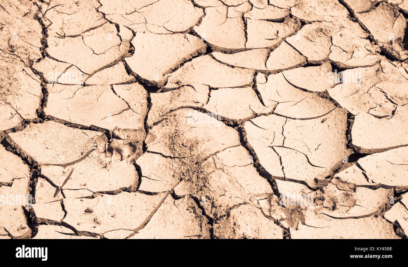 Terra arida nella calura estiva. Concetto di Ambiente e cambiamenti climatici. Sul luogo di fertile terreno con piante è incrinato morta superficie secca di fango. Foto Stock