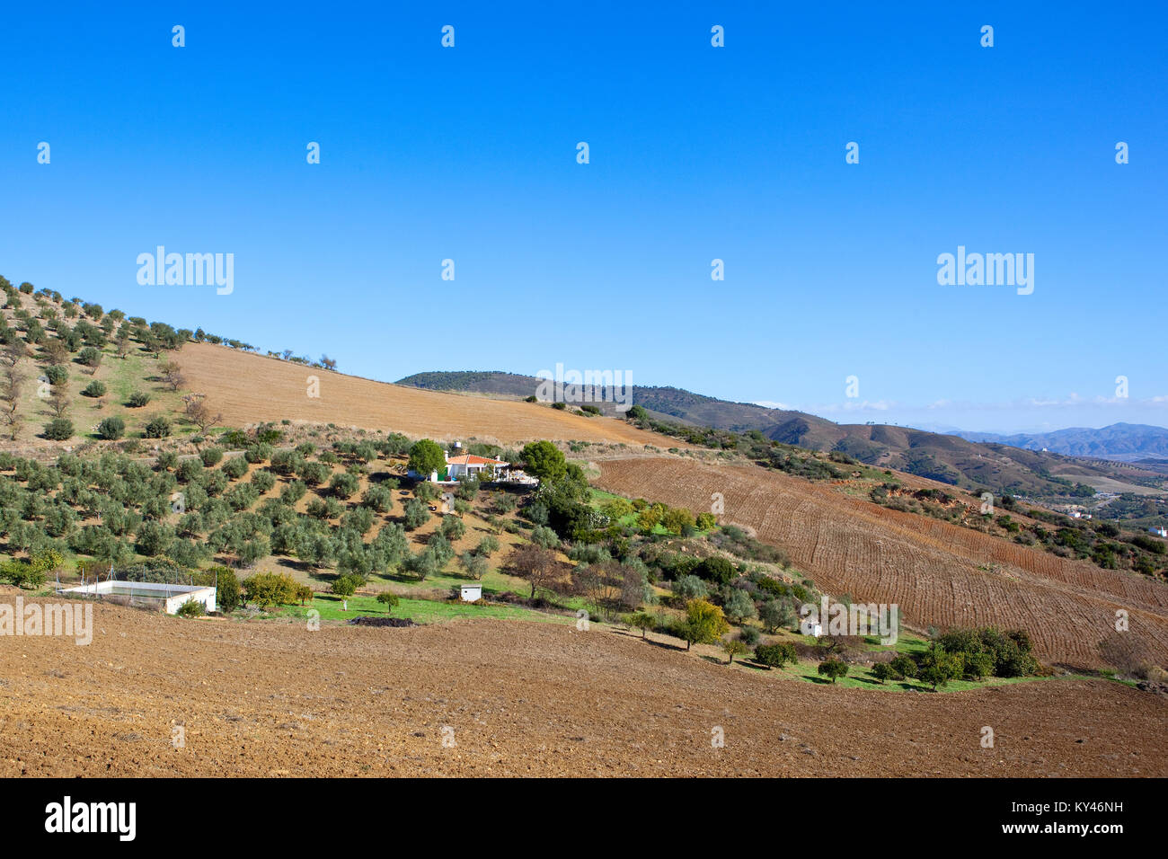Una villa bianca in tra oliveti e campi arati con delle montagne boscose sotto un cielo blu chiaro in Andalusia Spagna Foto Stock