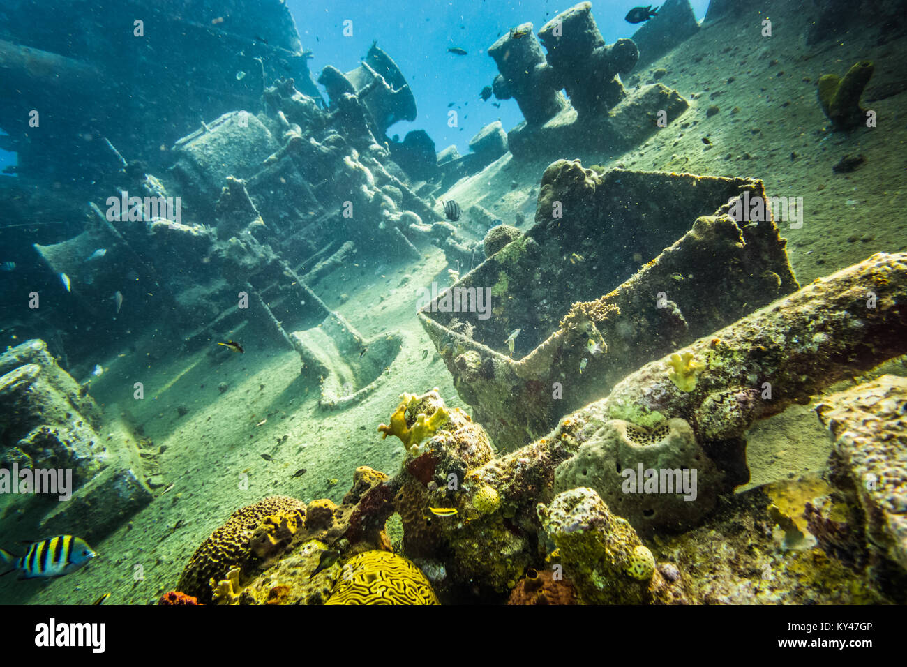 Vista di naufragio sott'acqua di profondità in Caribbean. Foto Stock