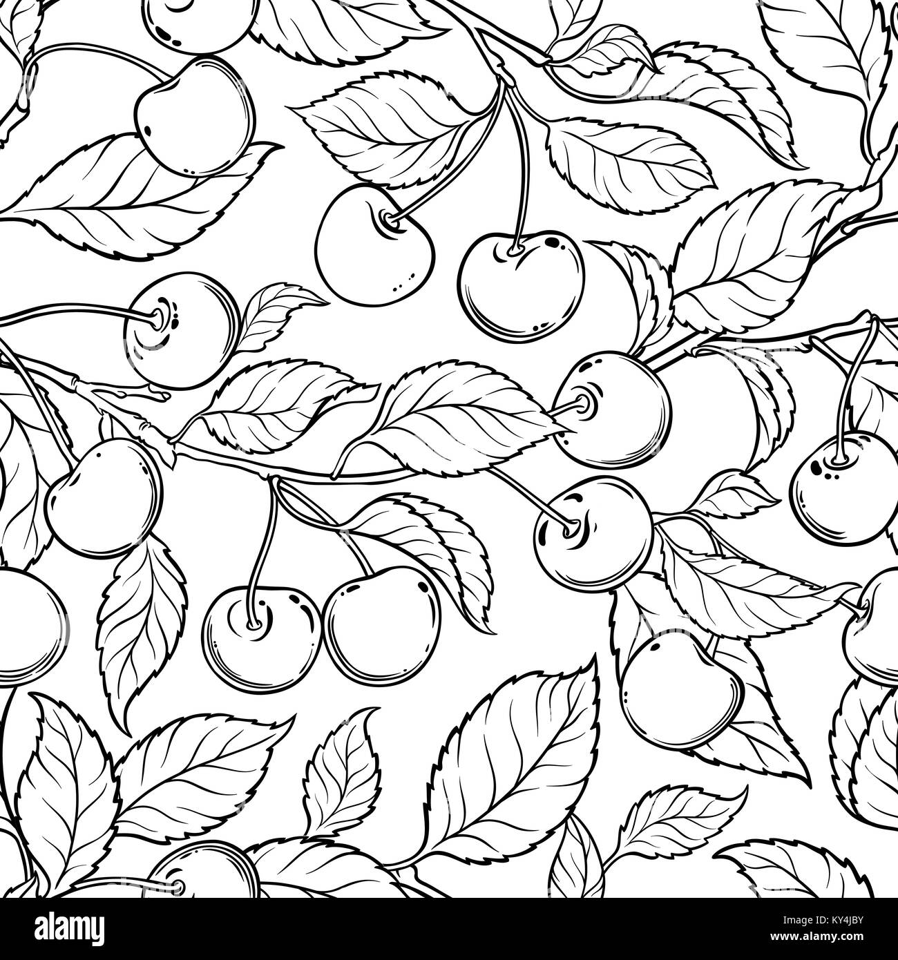 Rami di Ciliegio seamless pattern su sfondo bianco Illustrazione Vettoriale