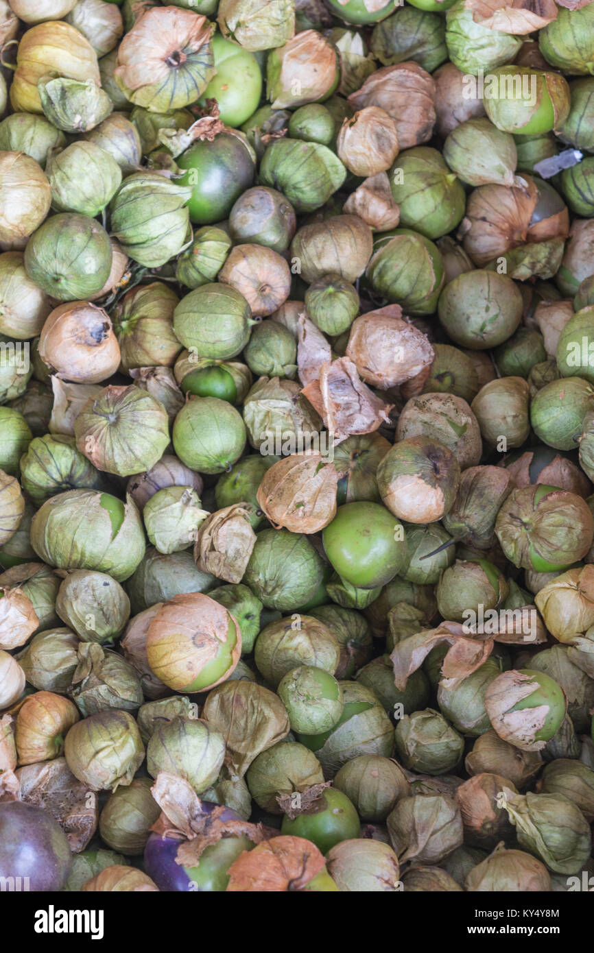 Isolato, close-up shot di tomatillos, e tomatillo pelli, in Messico Foto Stock