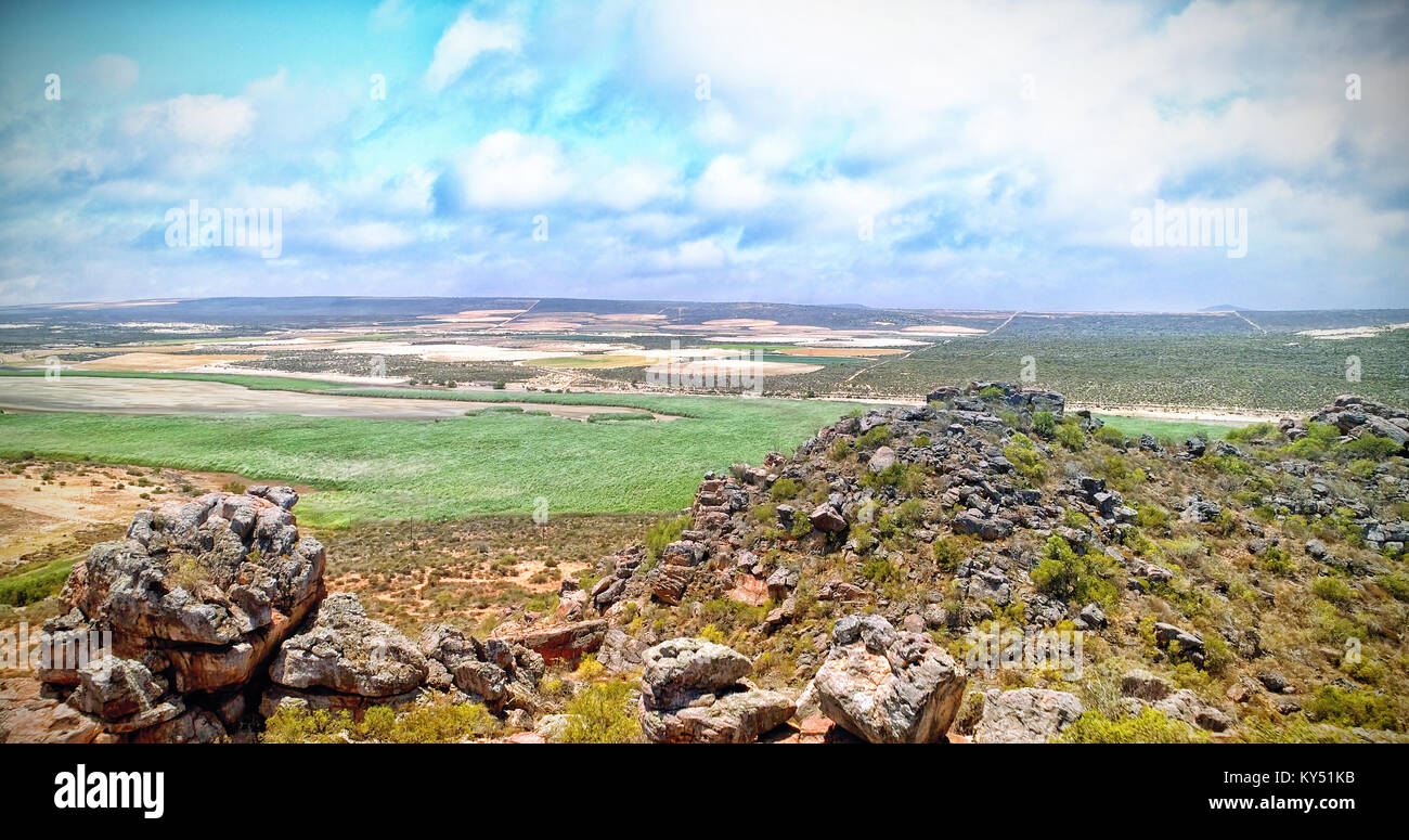 Paesaggio con rock e piante Foto Stock