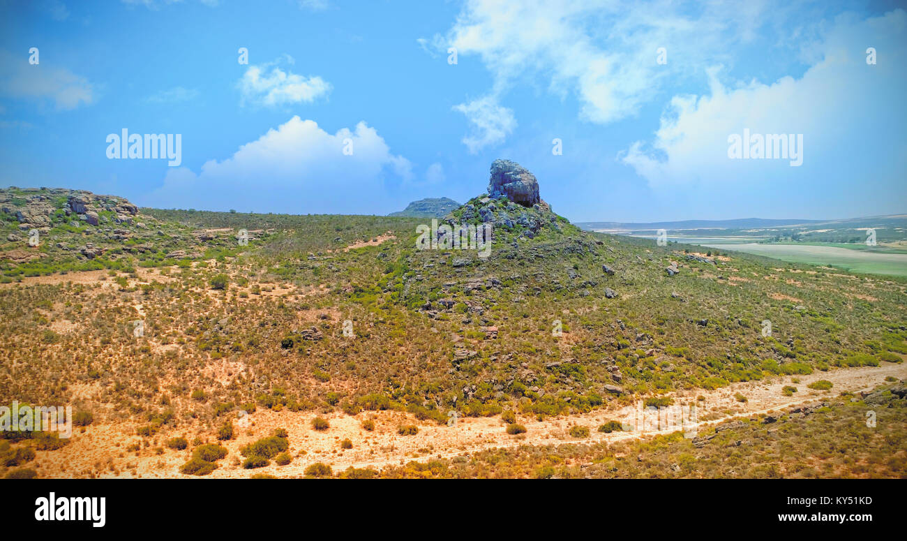Massa a secco con piante Foto Stock