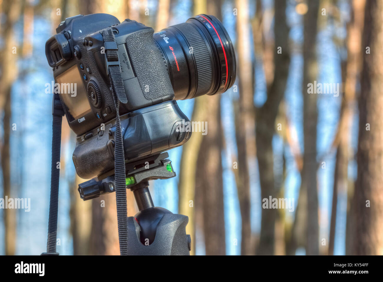 Gomel, Bielorussia - Marzo 29, 2016: una fotocamera digitale Canon EOS 6D con un obiettivo grandangolare Canon EF 17-40mm f/4L USM fissata su un treppiede Foto Stock