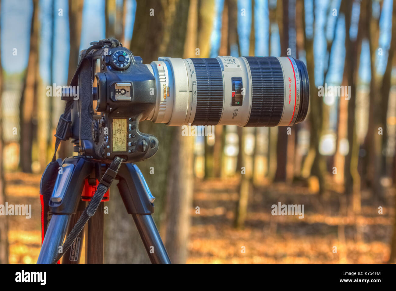 Gomel, Bielorussia - Marzo 29, 2016: fotocamera reflex digitale Canon EOS 6D con un lungo lente di messa a fuoco Canon EF 70-200mm f/2.8L II USM al treppiede. Foto Stock