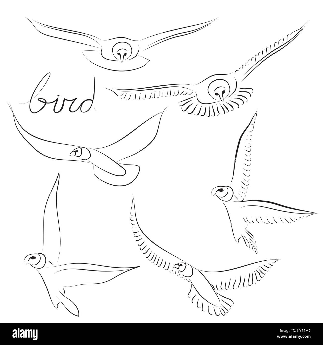 Schizzo bird Illustrazione Vettoriale