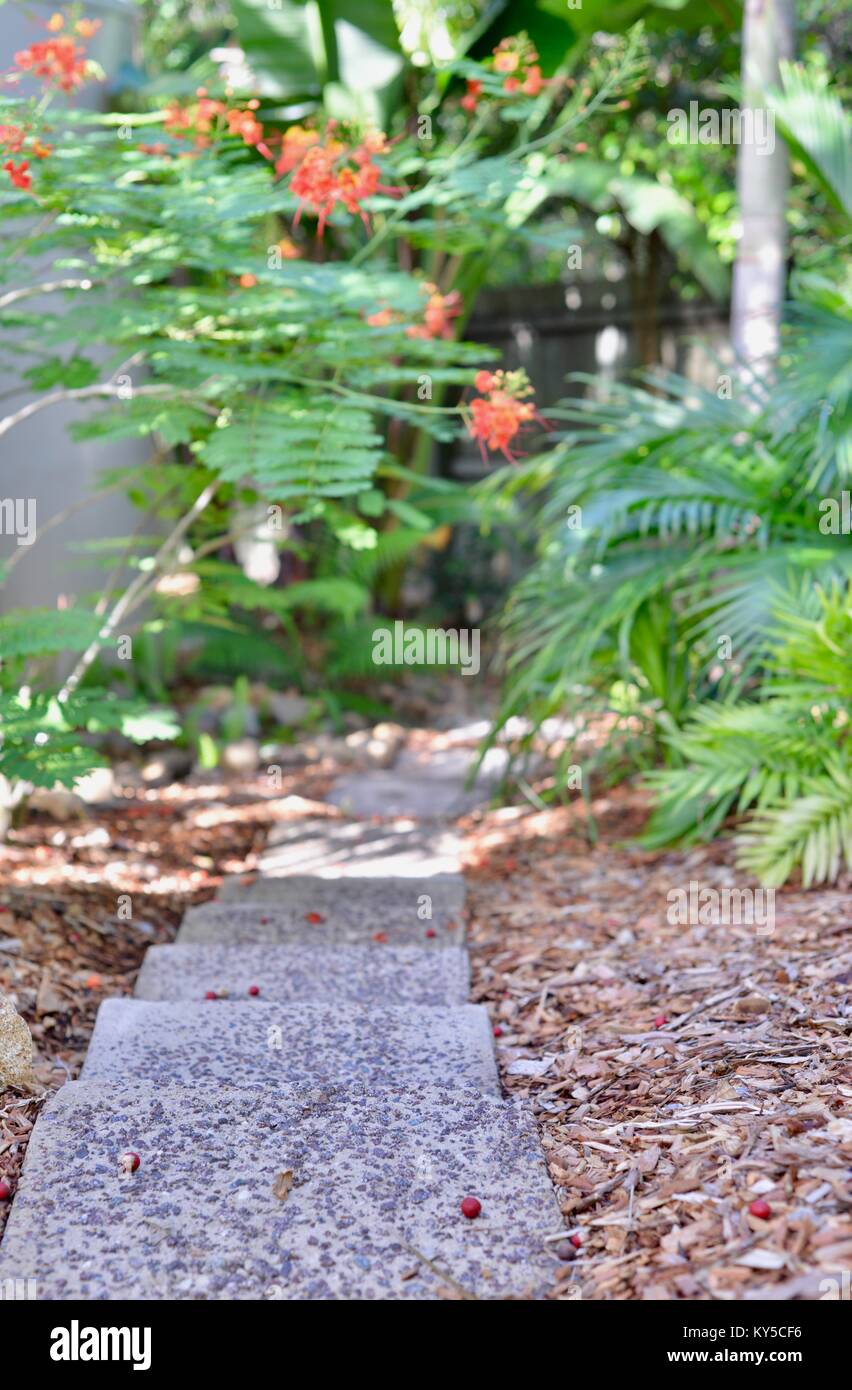 Percorso di pietre miliari che conduce verso il basso in un giardino attraverso il sottobosco, Sunshine Coast, Queensland, Australia Foto Stock