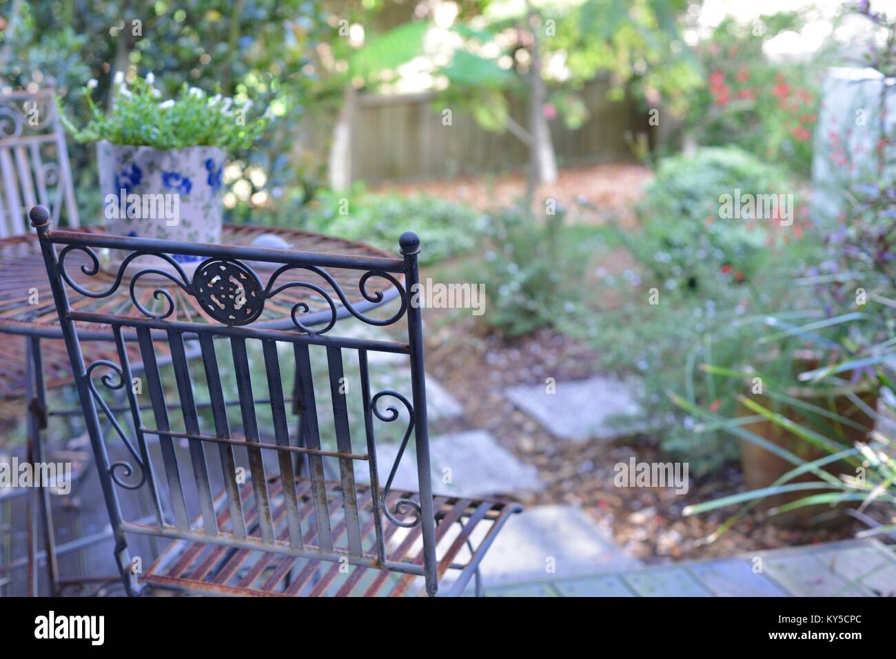 Ferro battuto mobili da esterno con tavolo e sedie, su di un patio che si affaccia su un giardino suburbano, Sunshine Coast, Queensland, Australia Foto Stock