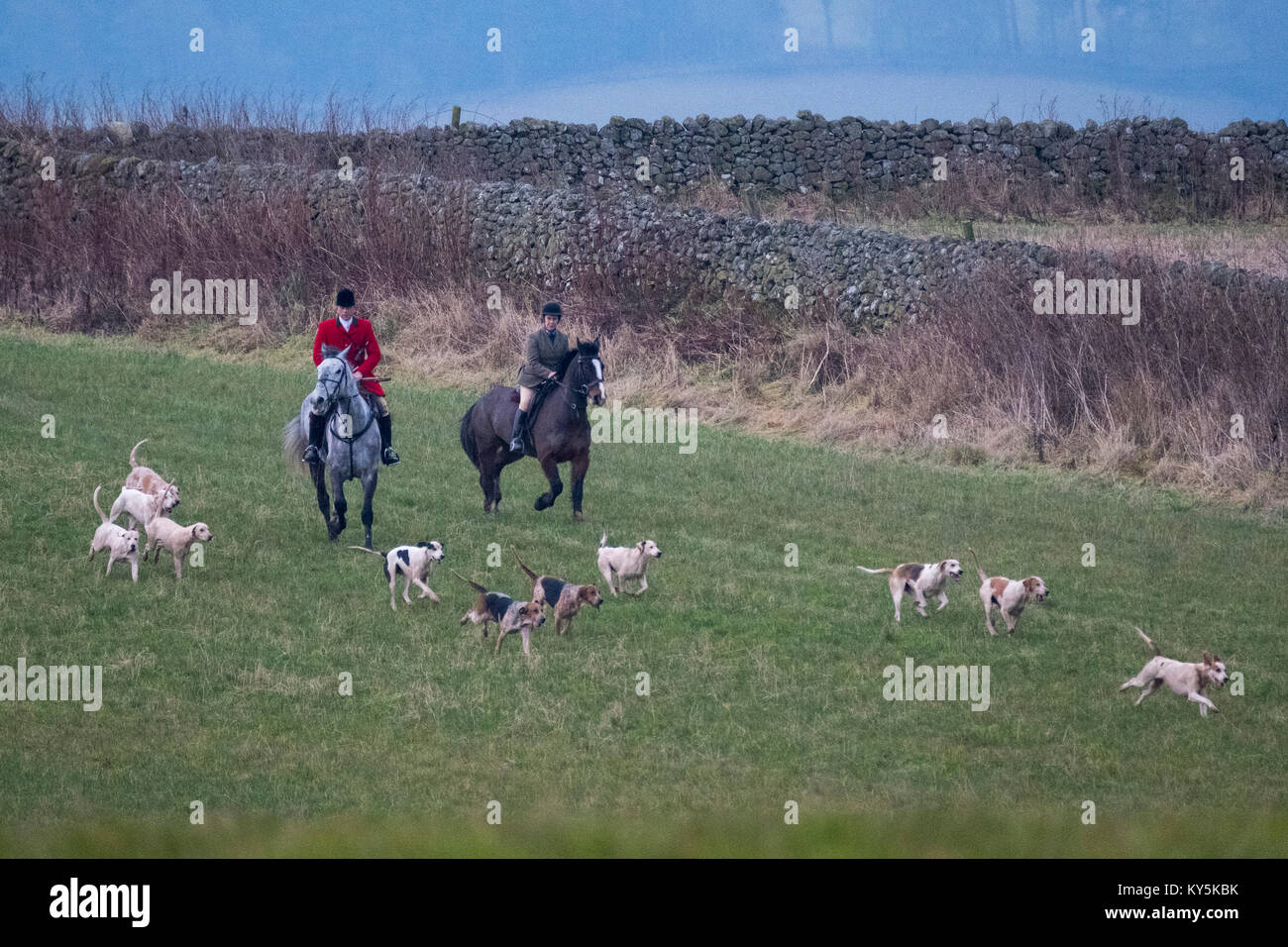 Ancrum, Rawflat /, UK. Il 13 gennaio, 2018. Buccleuch Foxhounds a Rawflat, vicino Ancrum didascalia: Huntsman Tim Allen (2014 - ) con il Duca di Buccleuch della caccia di Foxhounds Sabato 13 Gennaio nelle colline vicino a Ancrum, Jedburgh un affluenza di circa 60 montato sostenitori che rientrano i giorni hunt. ( Credito: Rob grigio/Alamy Live News Foto Stock