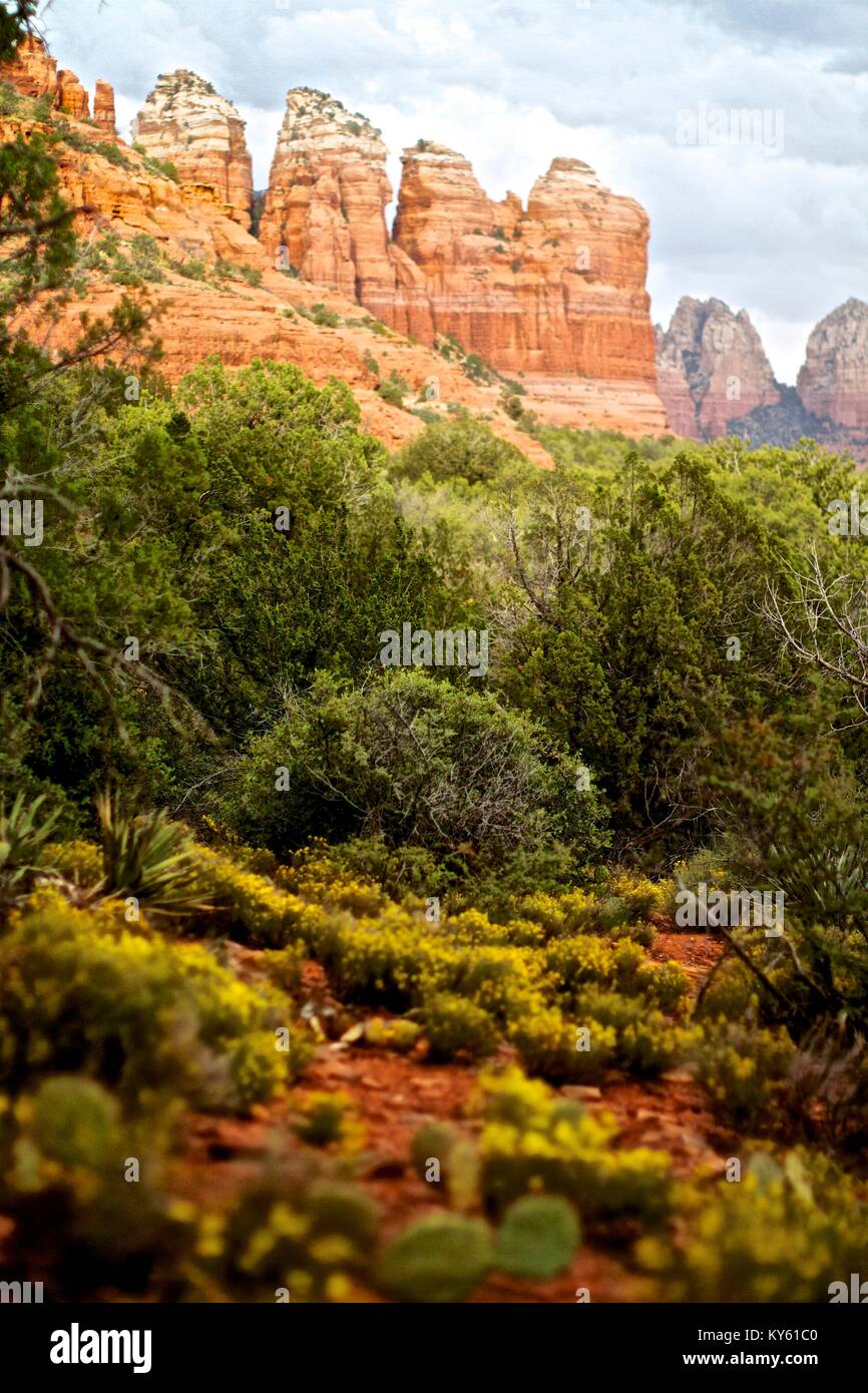 Sedona formazioni rocciose Foto Stock