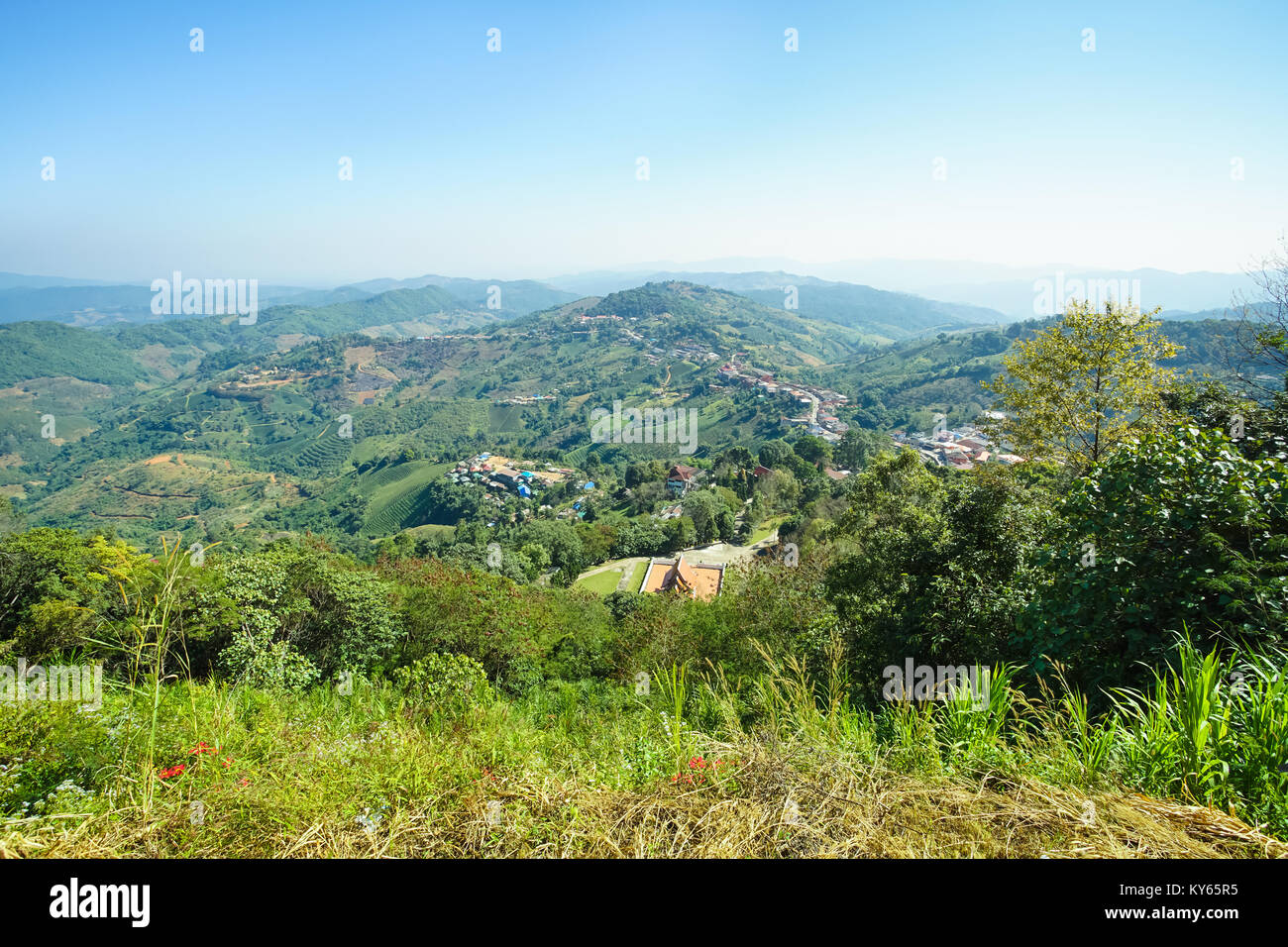 La natura vista montagna, foresta e cielo blu in Doi Mae Salong, Chiang Rai Thailandia Foto Stock