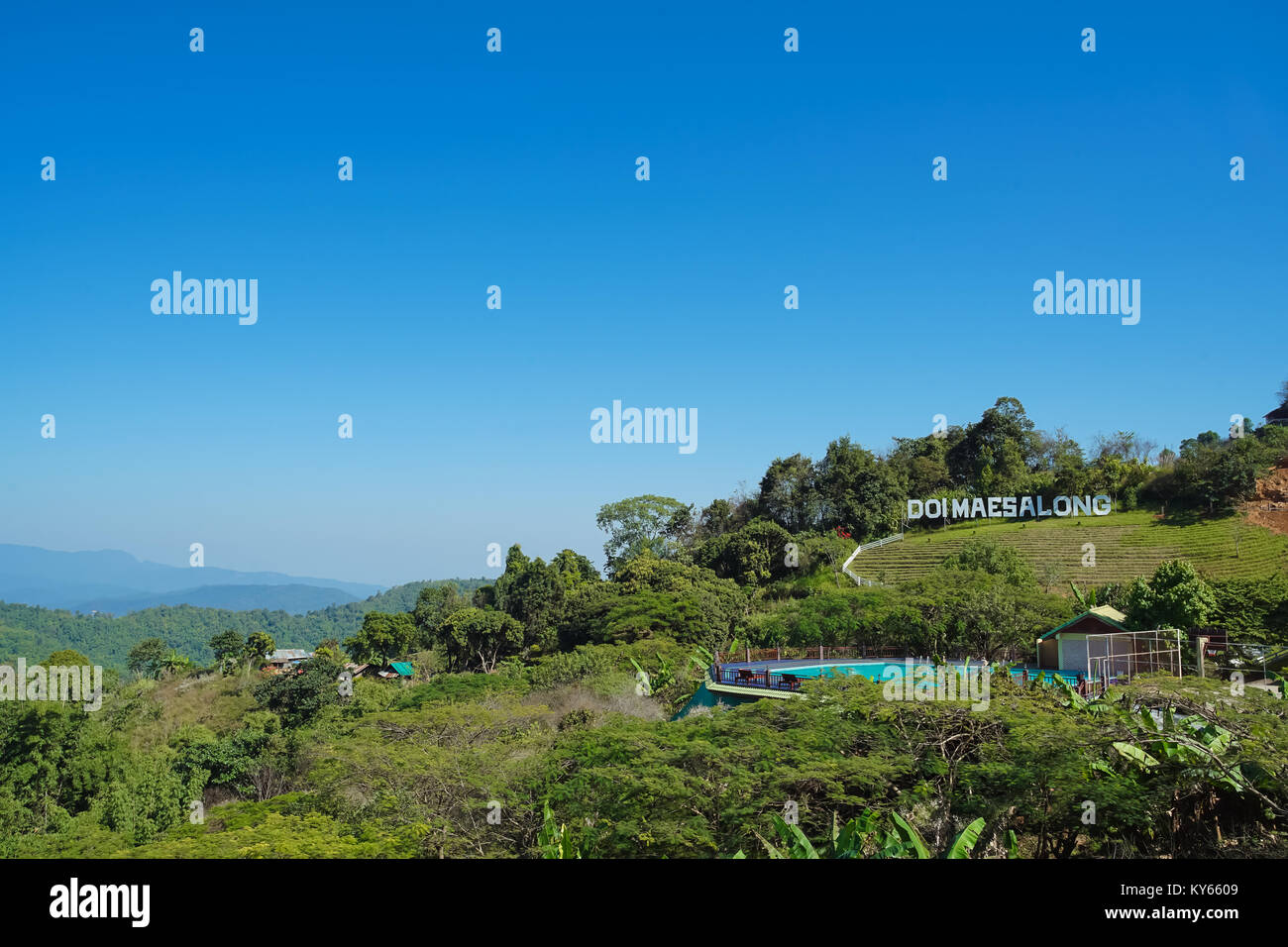 La natura vista montagna, foresta e cielo blu a Doi Mae Salong, Chiang Rai Thailandia Foto Stock