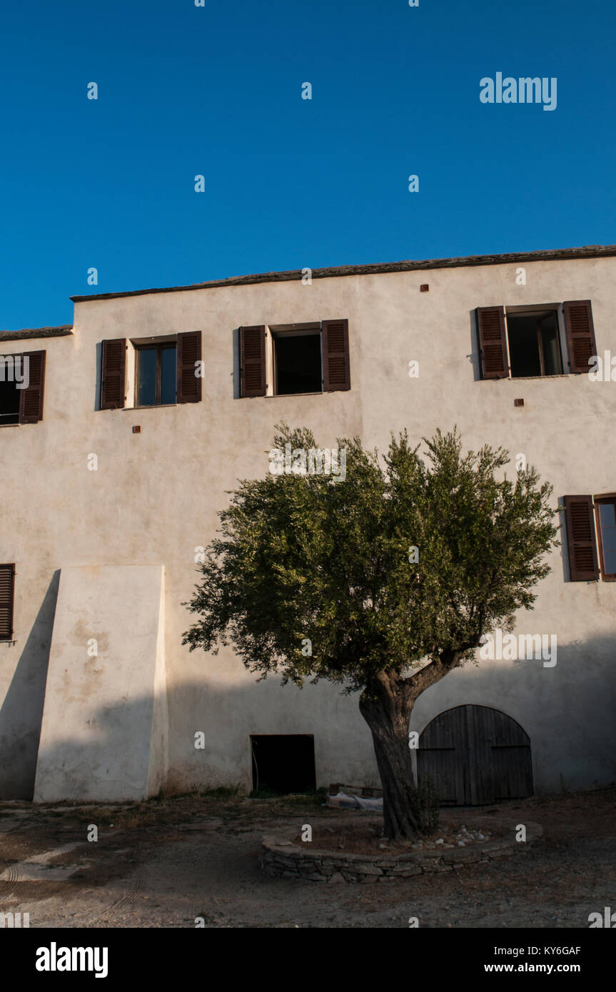 Corsica: la ex seicentesco convento di Santa Maria della Natività in Botticella, prima occupata dai Cappuccini e oggi trasformato in municipio Foto Stock