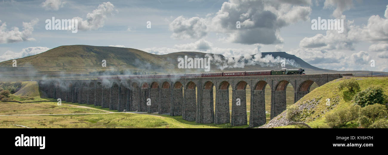 Flying Scotsman sul viadotto ribblehead Foto Stock