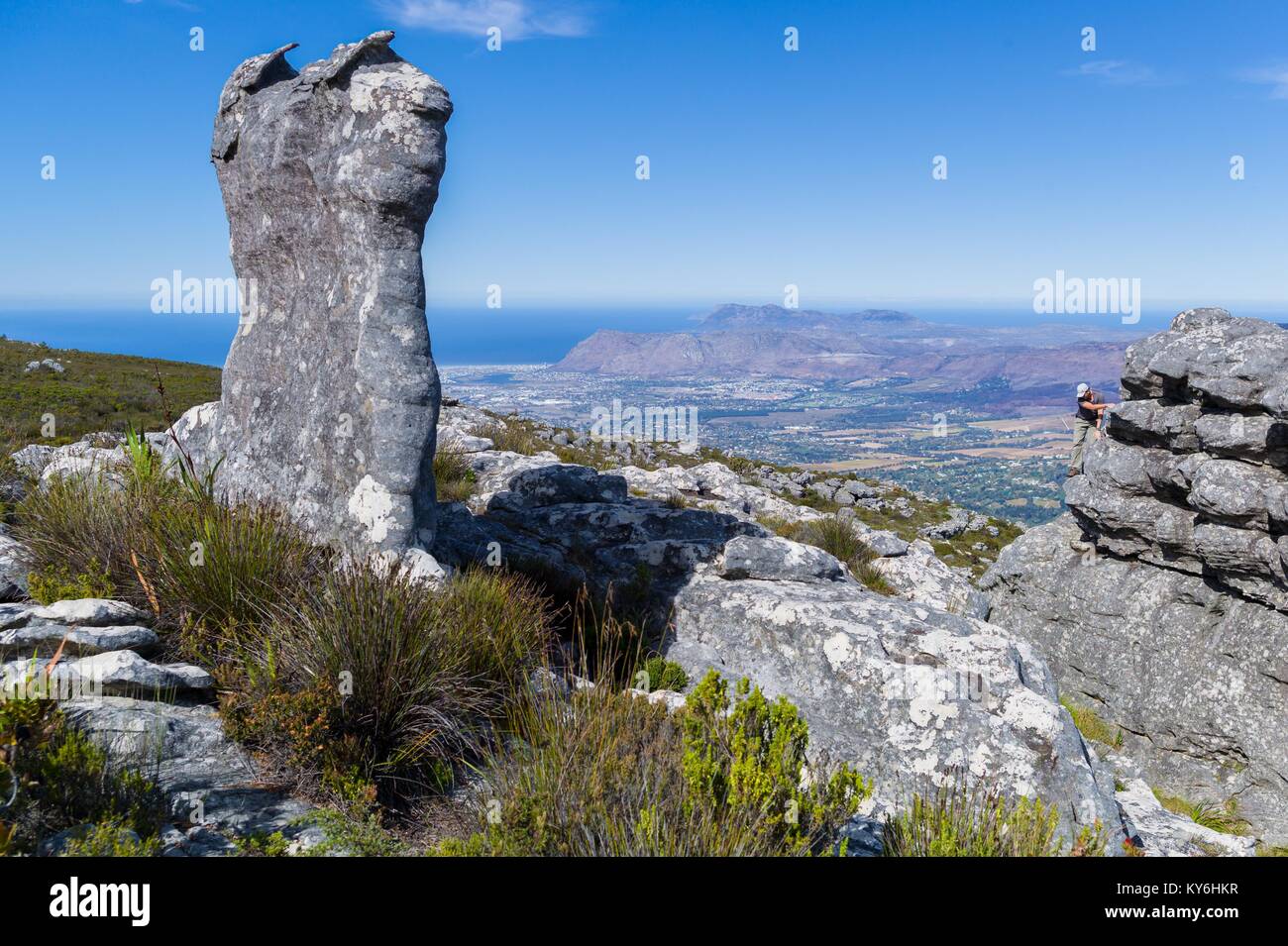 Esplorare le formazioni rocciose sulla cima della montagna della tavola nel Table Mountain National Park, Western Cape, Cape Town, Sud Africa Foto Stock