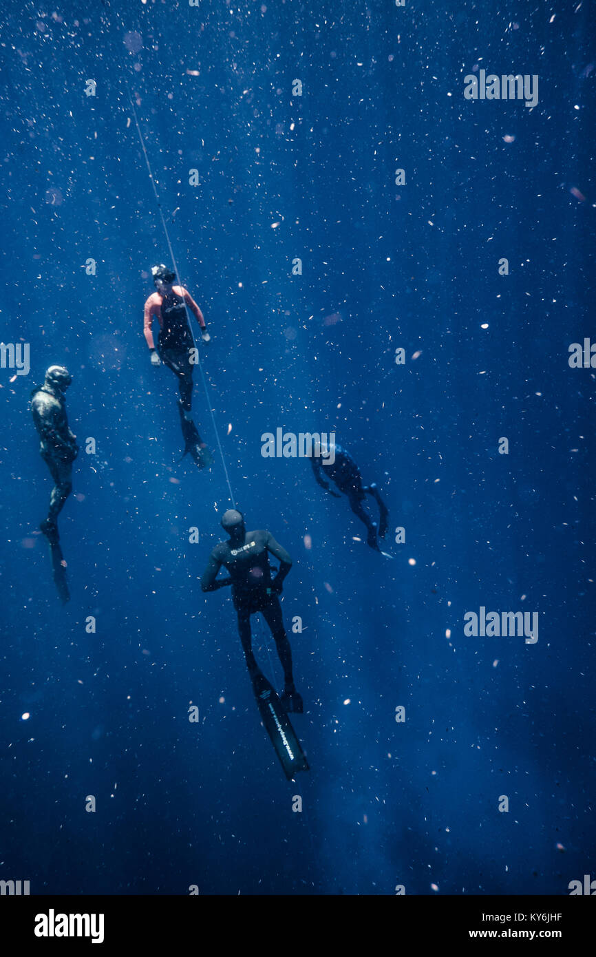 SAN ANDRES ISLAND, Colombia   circa nel marzo 2017. Freediver e la sua sicurezza subacqueo immersioni subacquee e seguendo la linea di vita a tutti i tempi nel profondo blu di San Foto Stock