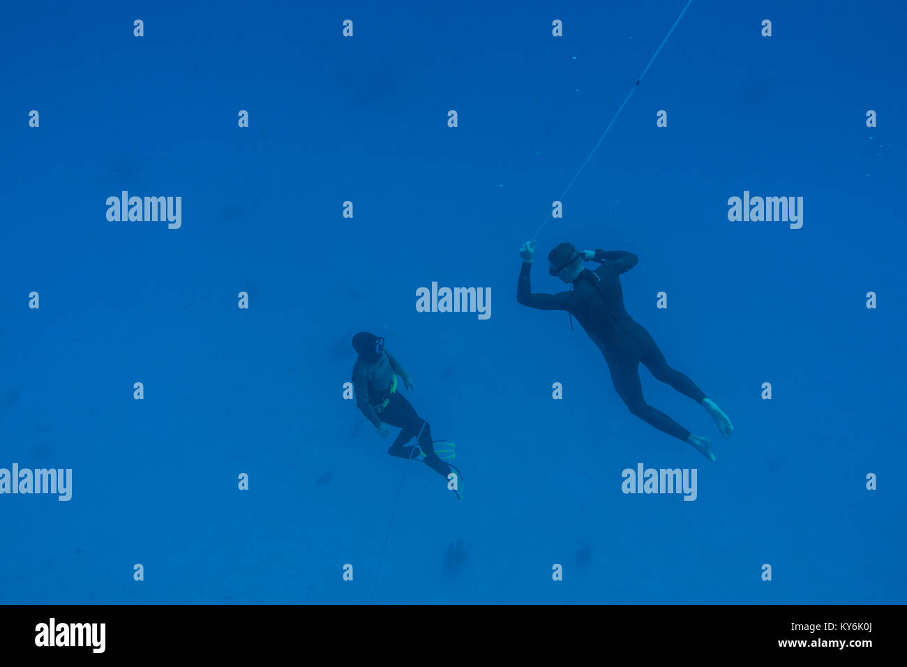 SAN ANDRES ISLAND, Colombia   circa nel marzo 2017. Freediver e la sua sicurezza subacqueo immersioni subacquee e seguendo la linea di vita a tutti i tempi nel profondo blu di San Foto Stock