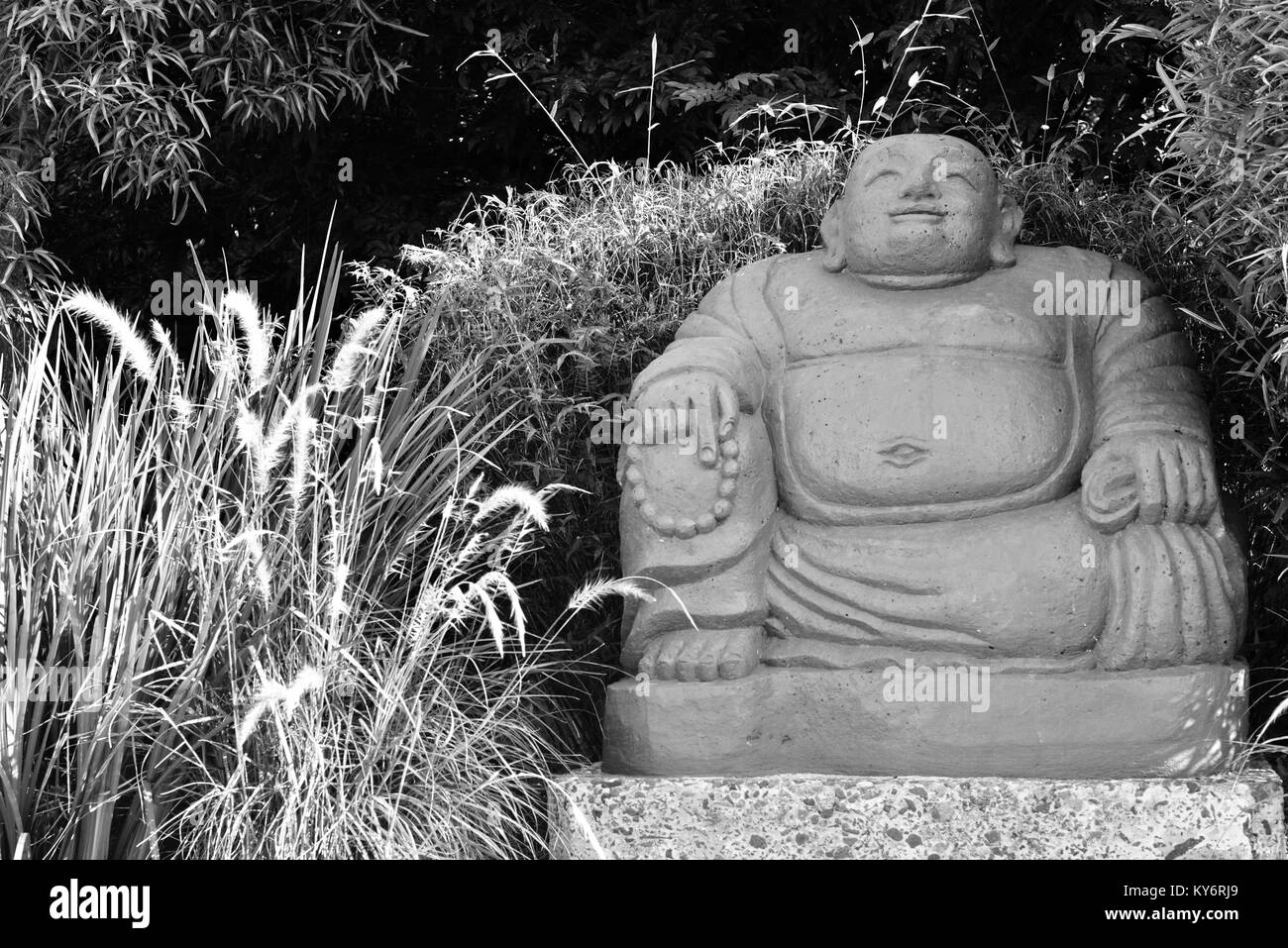 Calcestruzzo grande statua del Buddha dispongono di pezzo in un giardino suburbano, Sunshine Coast, Queensland, Australia Foto Stock