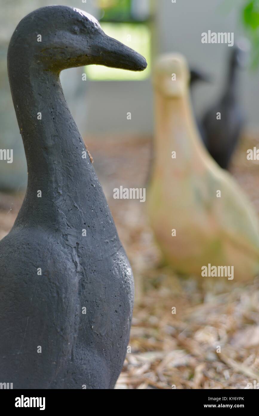 Anatre in ceramica in piedi di altezza in un giardino suburbano, Sunshine Coast, Queensland, Australia Foto Stock