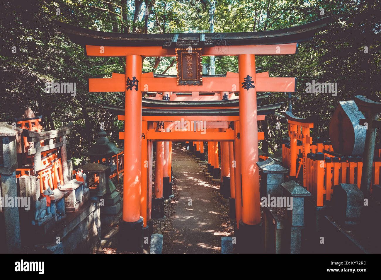 Fushimi Inari Taisha torii santuario, Kyoto, Giappone Foto Stock