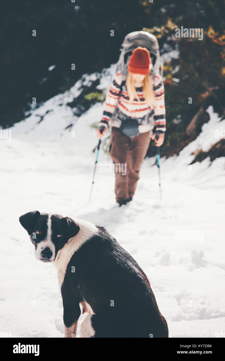 In attesa del cane amico escursionismo viaggiare insieme allo stile di vita di amicizia animali domestici concetto vacanze invernali Foto Stock