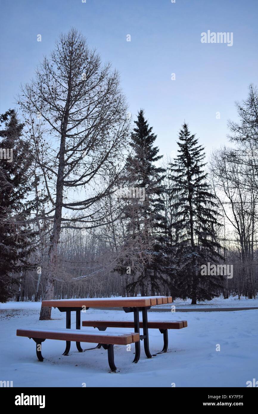 Tavolo da picnic nel parco invernale Foto Stock