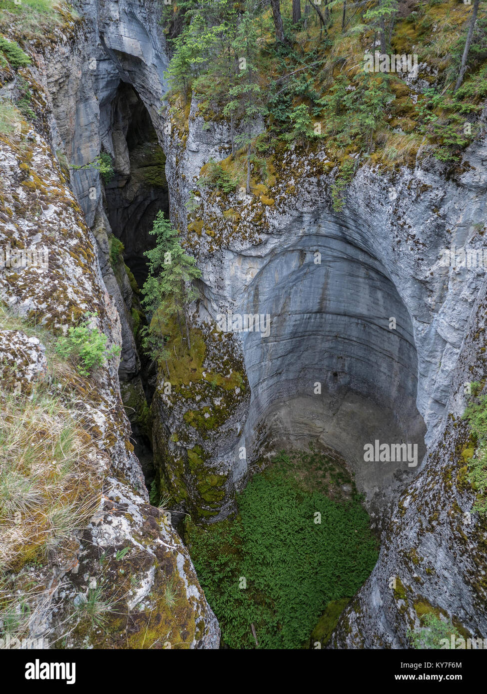 Maligne Creek Canyon vicino al secondo ponte Jasper National Park, Alberta, Canada. Foto Stock