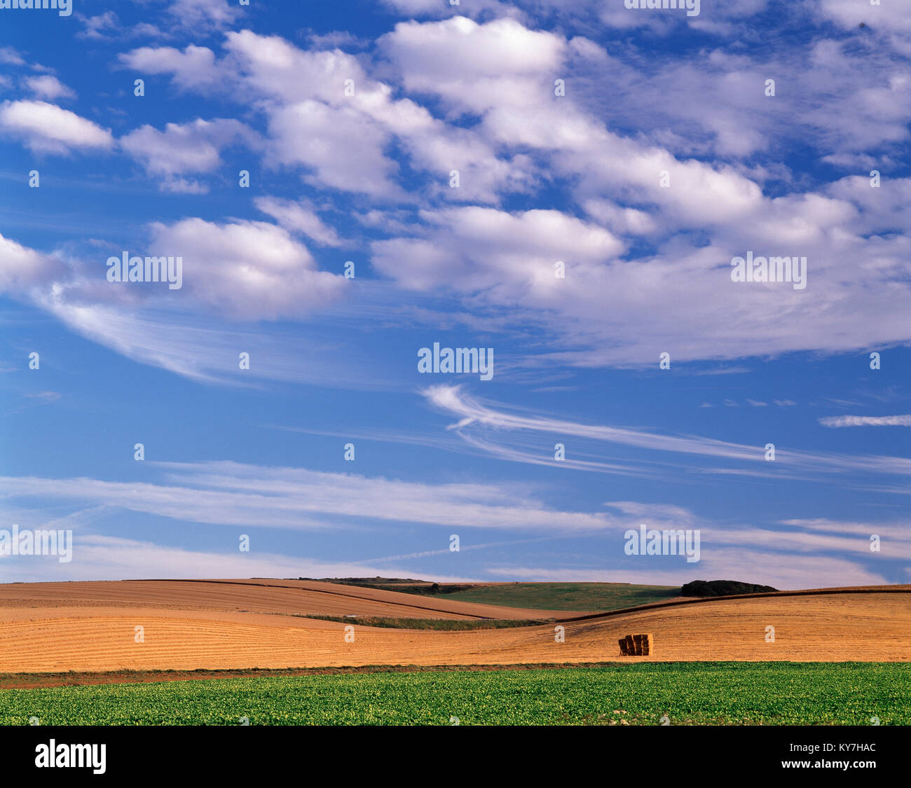 Il paesaggio agricolo nei pressi di Calais, Pas de Calais, Francia, Foto Stock