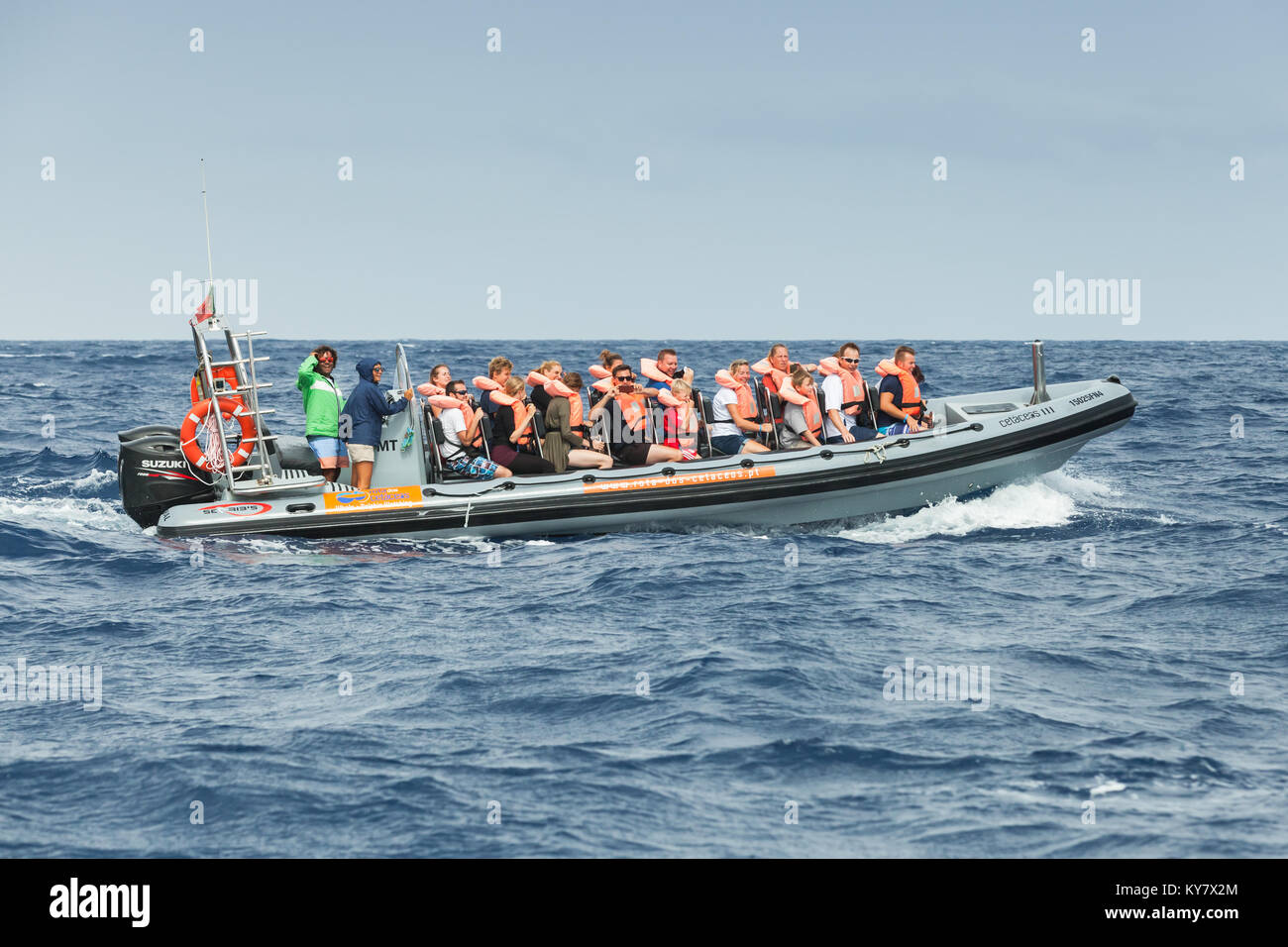 Funchal, Portogallo - 24 agosto 2017: i turisti sono in una veloce imbarcazione a motore durante l'avvistamento di balene e delfini la visione di viaggio Foto Stock