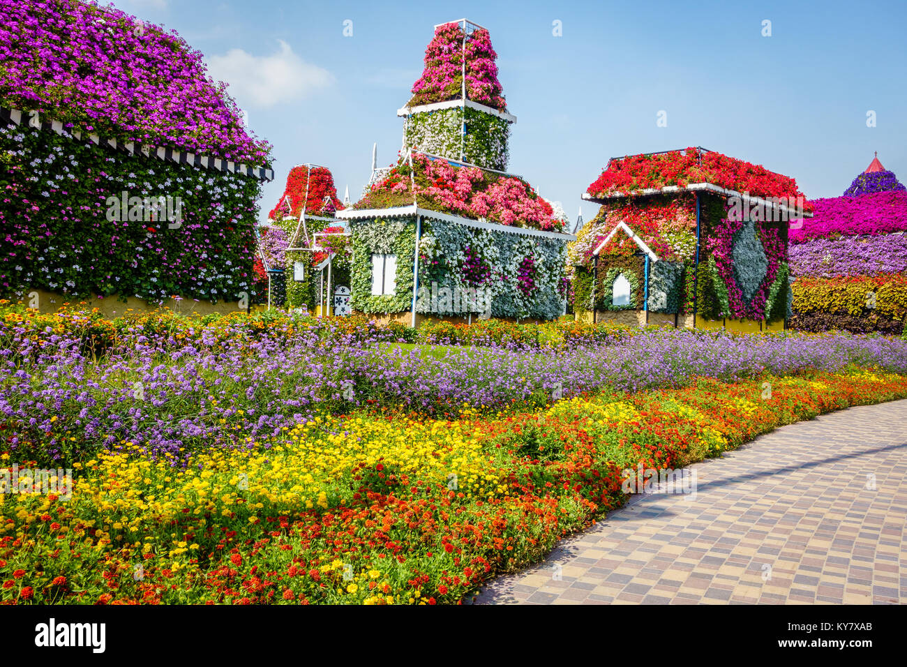 Dubai, UAE, 22 Gennaio 2016: miracolo Garden è una delle principali attrazioni turistiche in Dubai EMIRATI ARABI UNITI Foto Stock