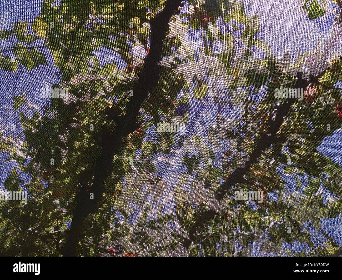Un astratto foto di sfondo di vigne come osservata attraverso il paralume stoffa Foto Stock