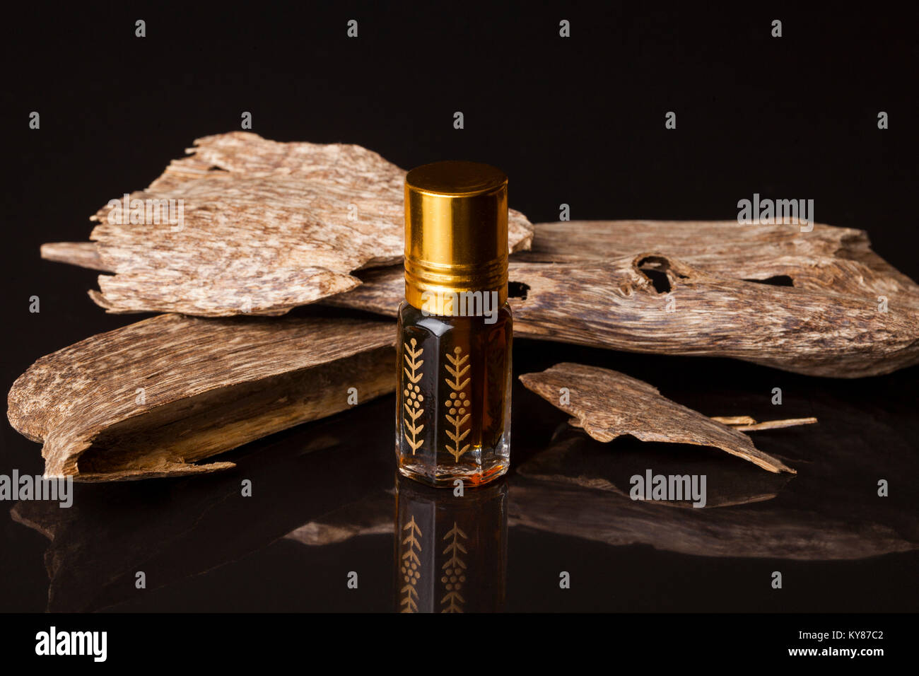 Legno di agar, chiamato anche aloeswood, olio essenziale di incenso e trucioli Foto Stock