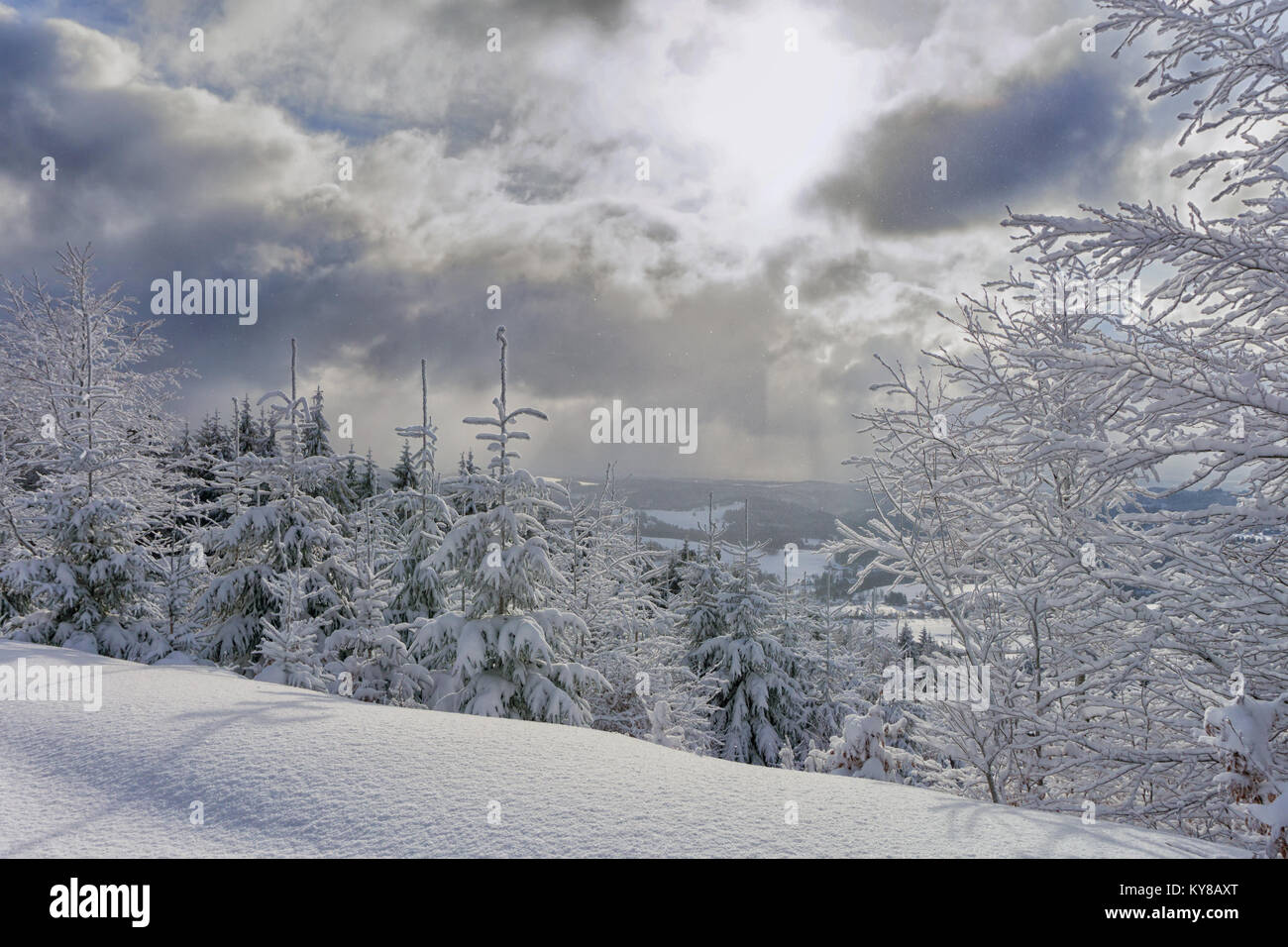 Paesaggio Invernale, gli alberi in montagne coperte di brina in giornata soleggiata, drammatica nuvole nel cielo Foto Stock