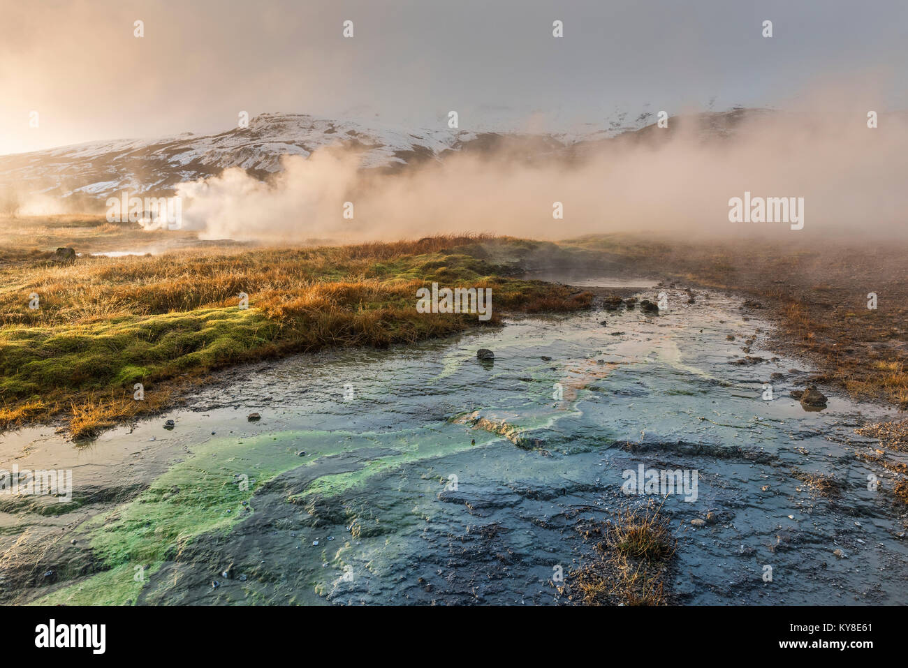 Regione geotermica, fori per la fuoriuscita del vapore & geyser, Islanda, novembre da Dominique Braud/Dembinsky Foto Assoc Foto Stock