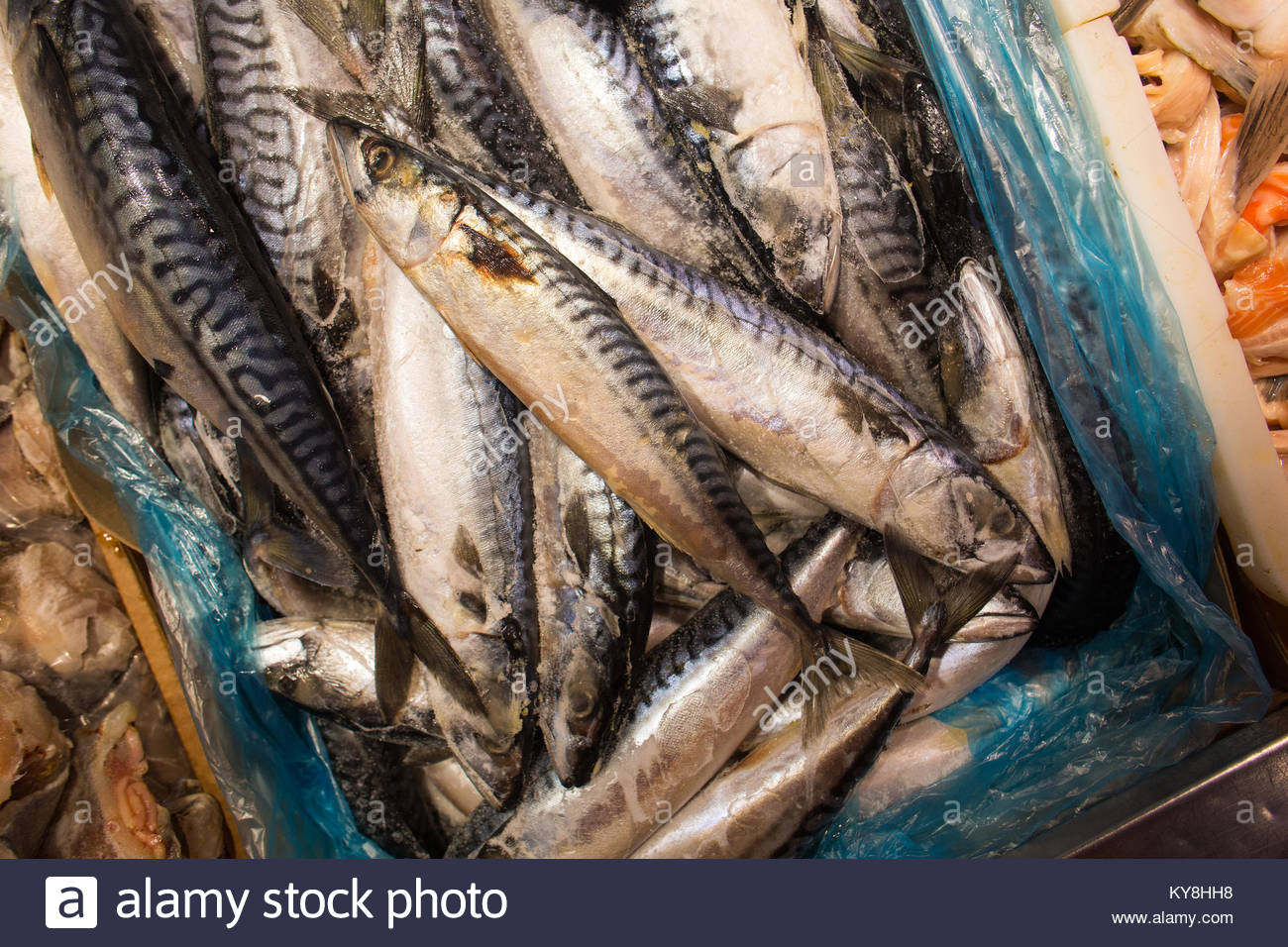 Il pesce in vendita su un mercato del pesce di Riga, Lettonia Foto Stock