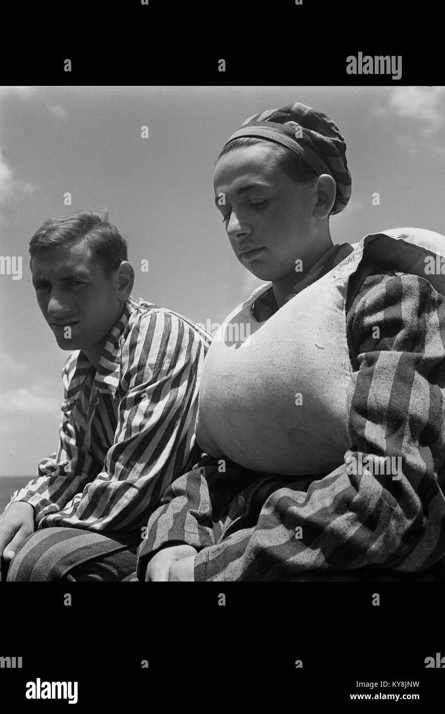 I giovani recuperati da BUCHENWALD campo di concentramento nazista a bordo del 'MATAROA' nel porto di Haifa. ילדים, ניצולי שואה ממח 0169 Foto Stock