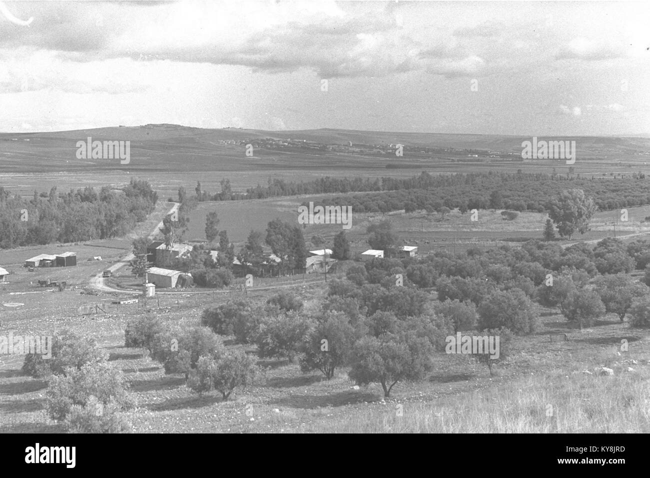 La valle di Jezreel nel nord di Israele è un'ampia pianura fertile storicamente utilizzata per la coltivazione di grano, cotone e girasoli, ed è stata teatro di antiche battaglie secondo la tradizione biblica, combinando importanza agricola con interesse storico e geologico. Foto Stock