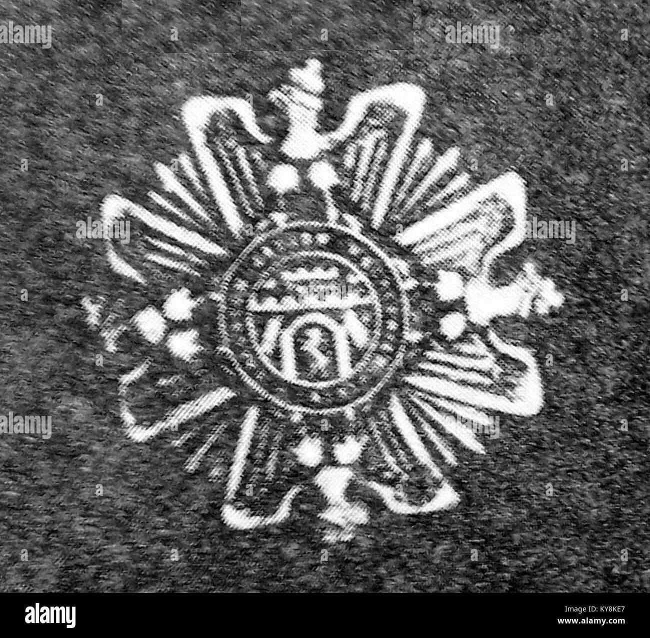 Immagine della medaglia Odznaka Honorowa Orlęta, che mostra il suo design, i materiali e il significato simbolico nella storia militare polacca. Foto Stock