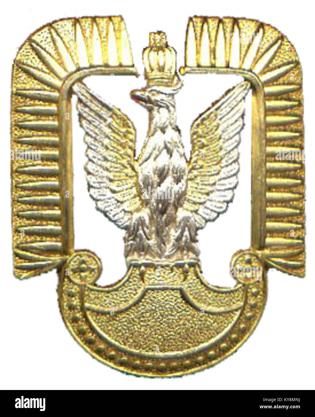 L'emblema delle forze aeree polacche presenta un'aquila stilizzata, che rappresenta le insegne dell'aviazione militare nazionale e il patrimonio militare polacco. Foto Stock