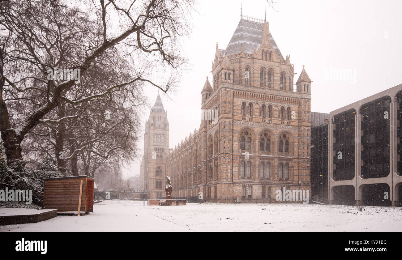 London, England, Regno Unito - 18 Gennaio 2013: La neve cade sul Museo di Storia Naturale di Londra il South Kensington museum district. Foto Stock